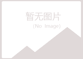 政和县冰夏咨询有限公司